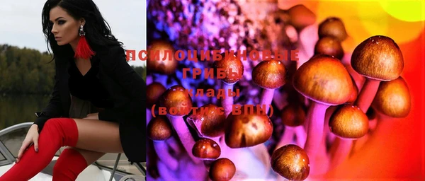 метадон Арсеньев