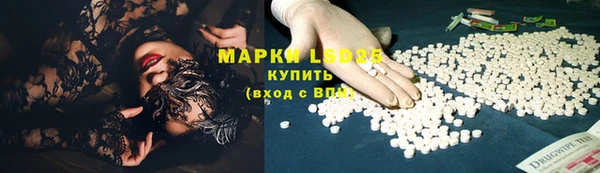 СК Аркадак