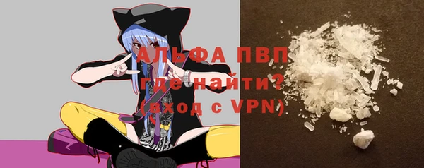 СК Аркадак