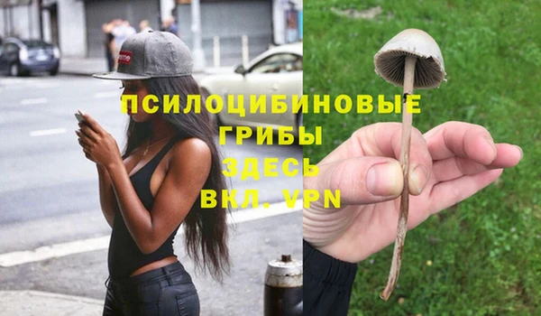 spice Армянск