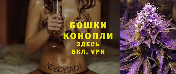 spice Армянск