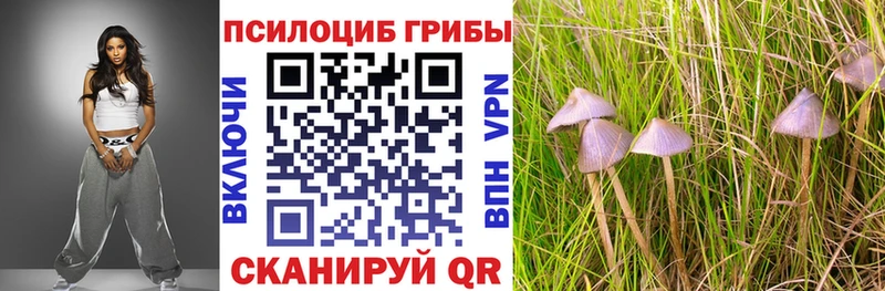 Галлюциногенные грибы Psilocybine cubensis  закладки  Краснослободск 